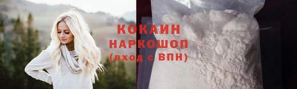 Альфа ПВП Бородино