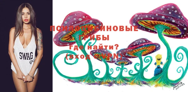 а пвп мука Бронницы