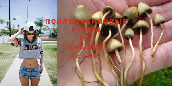 Альфа ПВП Бородино