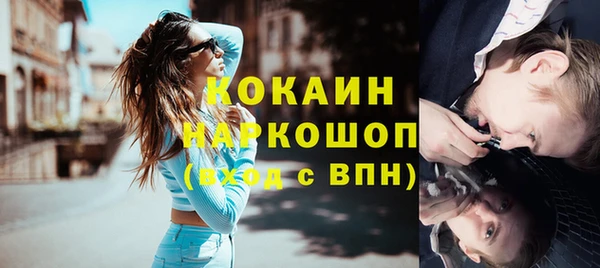 Альфа ПВП Бородино