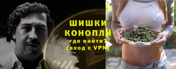 Альфа ПВП Бородино
