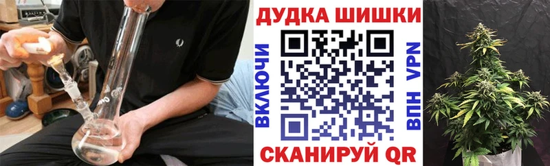 как найти закладки  Электрогорск  Бошки марихуана THC 21% 